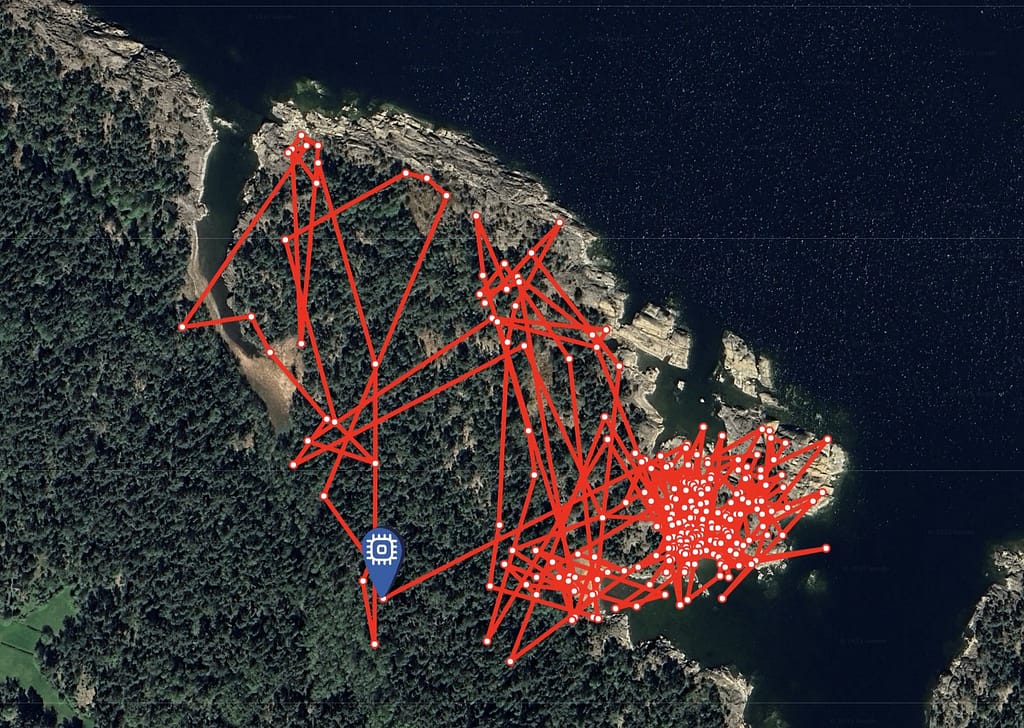 Flygbild över Rävsten med spår av hur betande djur har rört sig.