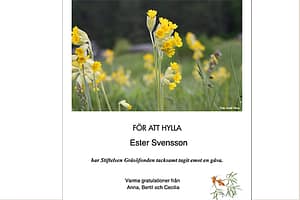 utsnitt hyllningskort