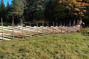 Bild på gärdesgård