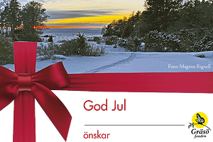 illustrerad julhälsning