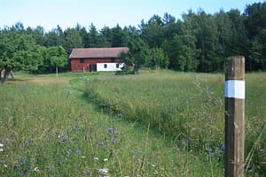 stolpe som markerar gångväg längs grässtig