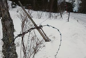 Trasigt taggtrådsstängsel i snö.