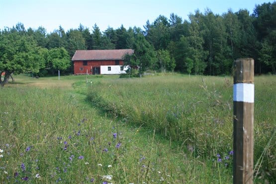stolpe som markerar gångväg längs grässtig
