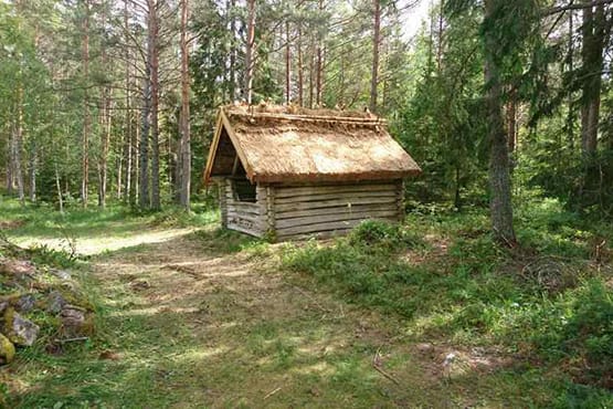 Timrad lada med vasstak vid skogsväg