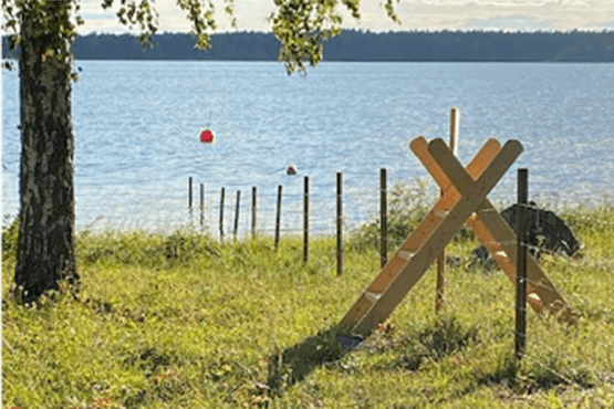 nytt stängsel som ger nya beten på Gräsö.